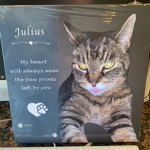 Maria added a photo of their purchase