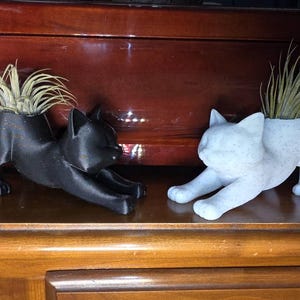 Jennifer added a photo of their purchase