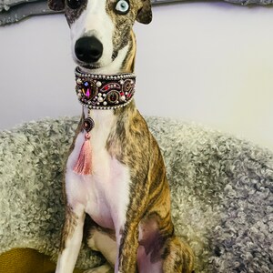 Venuss ha añadido una foto de su compra