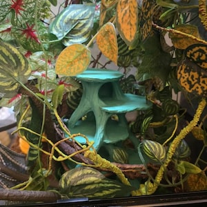 Beverly added a photo of their purchase