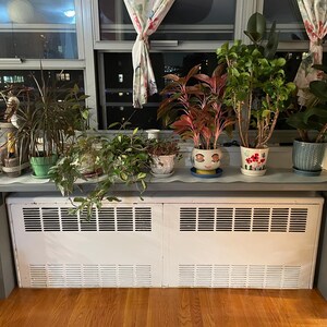 M added a photo of their purchase