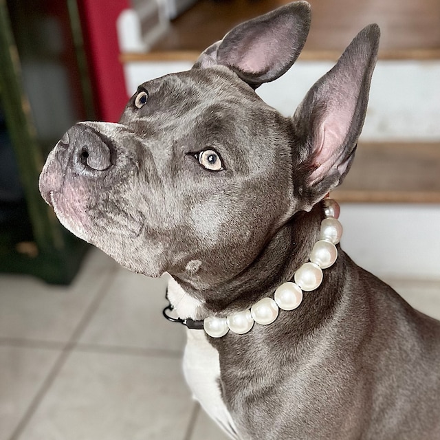 Bubblegum Bead Dog Collars KUDES Chunky Pearl Dog Necklace (Beads