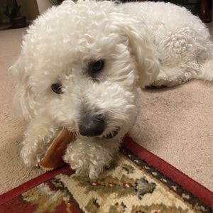 Y. adicionaram uma foto da sua compra