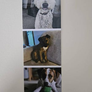 Etsy buyer added a photo of their purchase
