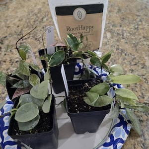 Jacqueline added a photo of their purchase