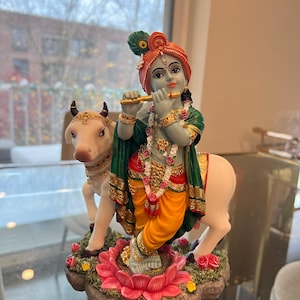 Nimmi hat ein Foto des gekauften Artikels hinzugefügt