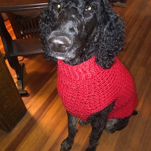 Elaine added a photo of their purchase
