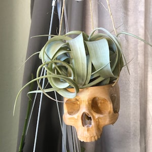 Cecelia added a photo of their purchase