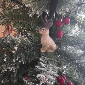jessabelle added a photo of their purchase