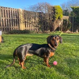 Eve added a photo of their purchase