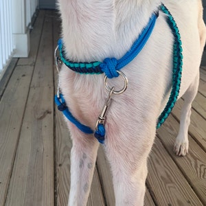 Knotted Rope No Pulling Training Dog Harness Zigzag Paracord Overlay Etsy