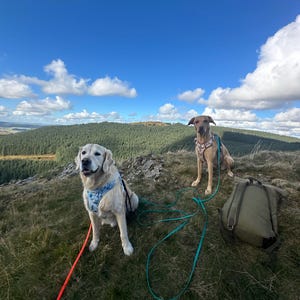Holly added a photo of their purchase