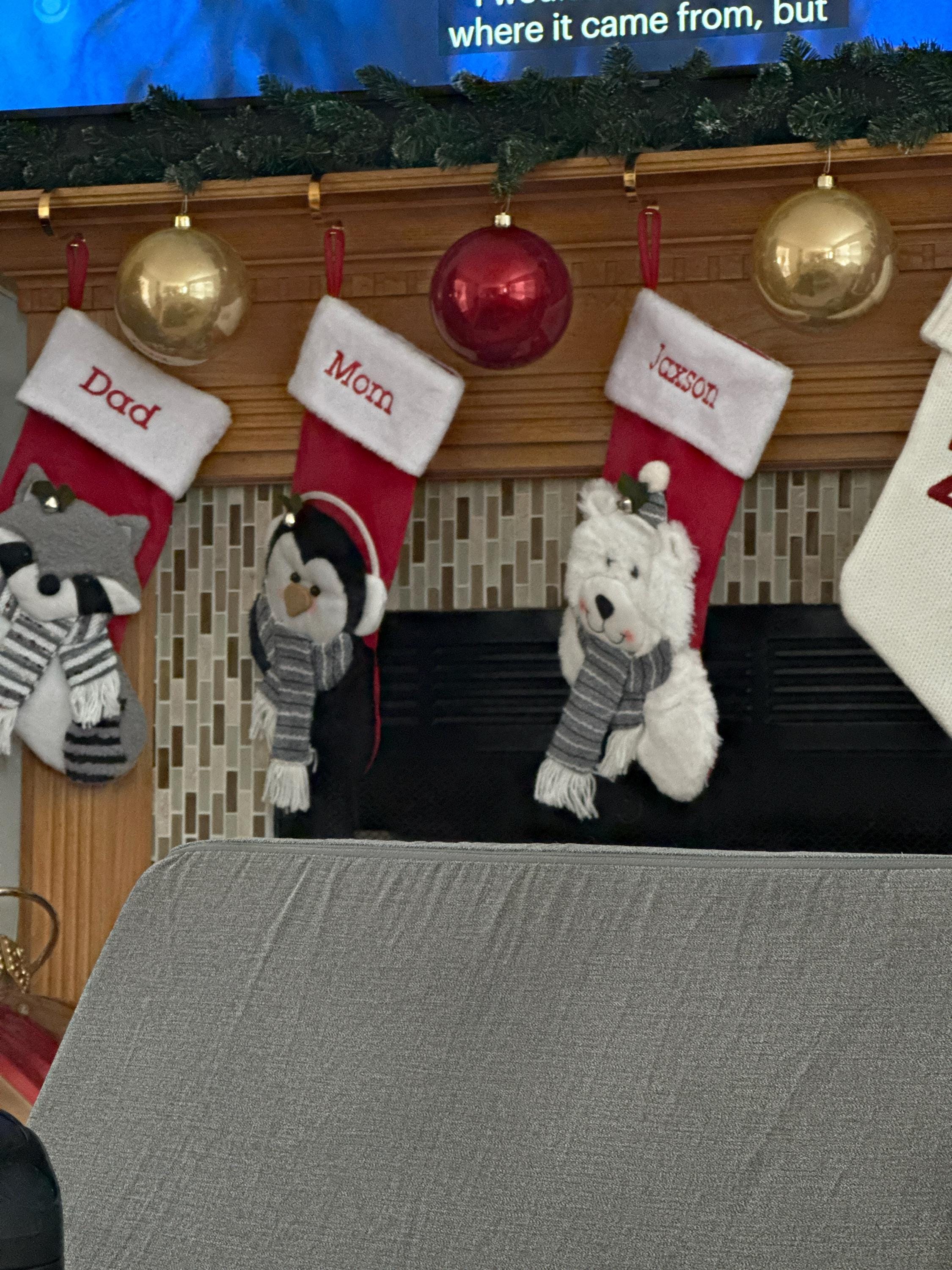 Personalized Christmas Stocking-Plush Stocking-Holiday Décor-Embroidered Name-Family Stockings-3D Plush Character- 6 Characters Available