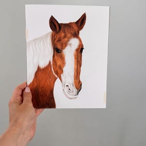 Meaghan added a photo of their purchase