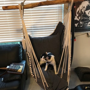 David added a photo of their purchase