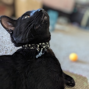 stacy ha añadido una foto de su compra