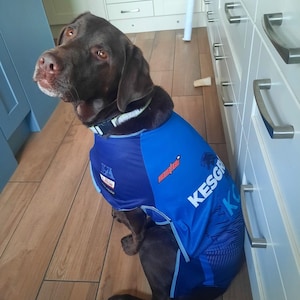 Louise added a photo of their purchase
