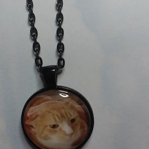 lesa added a photo of their purchase
