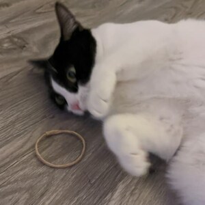 hair tie cat toy