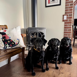 Hazel added a photo of their purchase