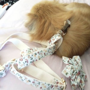 Gail added a photo of their purchase