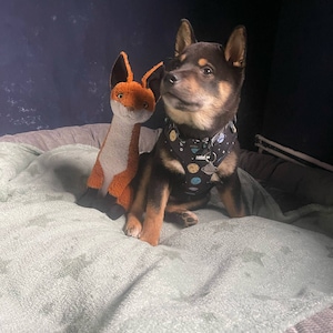 Kay added a photo of their purchase