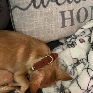 Celia added a photo of their purchase