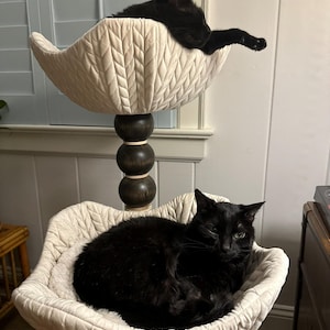 Amelia added a photo of their purchase