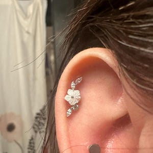 Tiffany adicionaram uma foto da sua compra