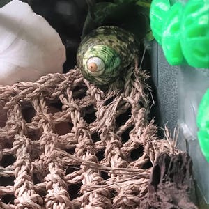 Sarah added a photo of their purchase