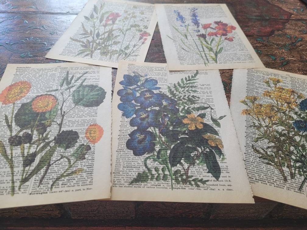 Flower Themed dictionary prints