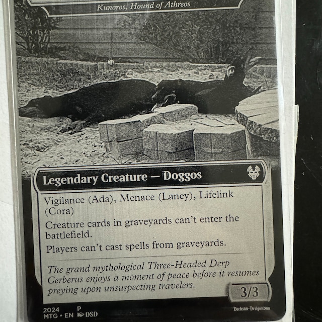 mtg gotcha cards Magic the Gathering [053] BETRAYERS OF KAMIGAWA Single Card