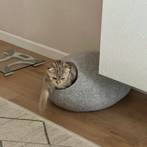Alexei added a photo of their purchase