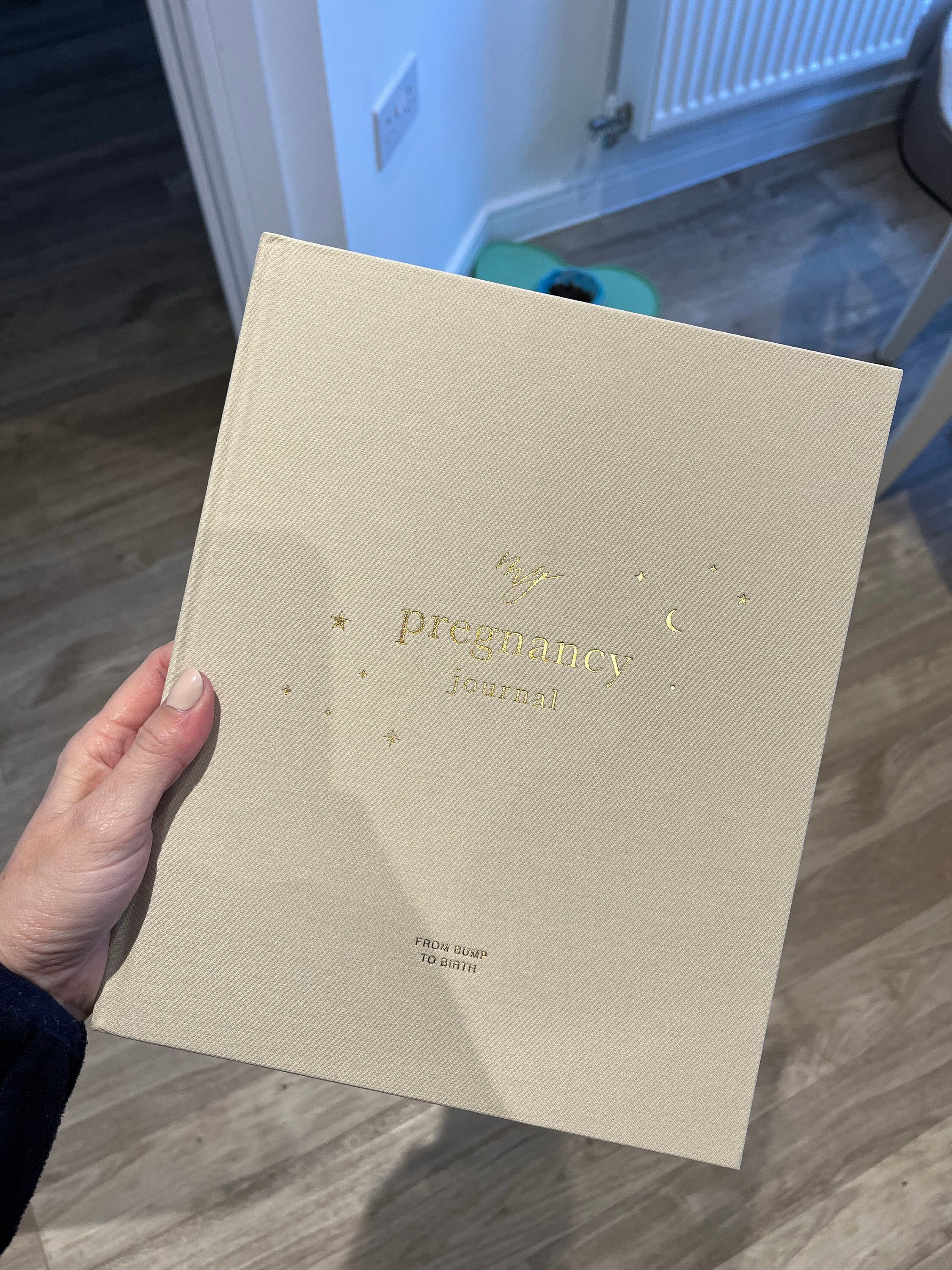 My Pregnancy Journal, Expectant Mother Gift, Pregnancy Planner - Pearl - gift for parents to be, pregnancy record book w/gilded edges