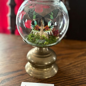 Erin added a photo of their purchase