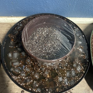 Mathew added a photo of their purchase