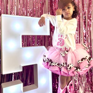 First Birthday tutu, cowgirl tutu set,  Barnyard Birthday Outfit, horse Birthday Outfit,  Western Tutu outfit. any number