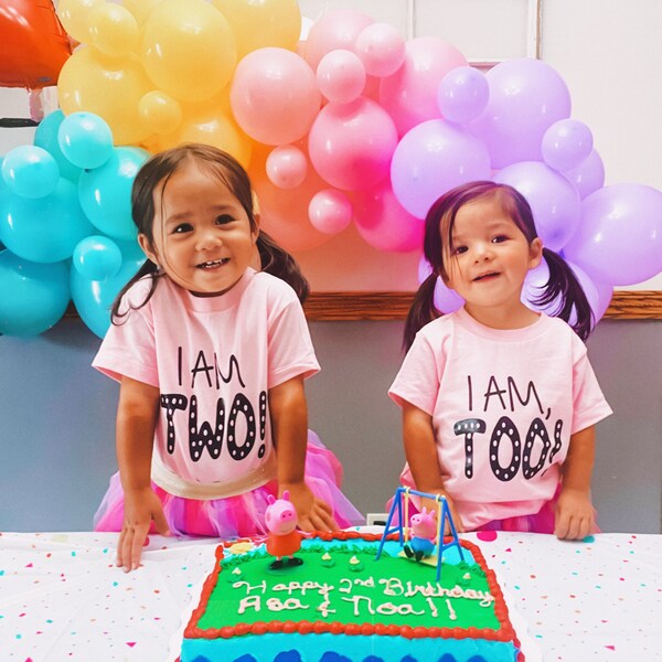 2nd Birthday Shirts | Twins Birthday Shirts | Second Birthday ...