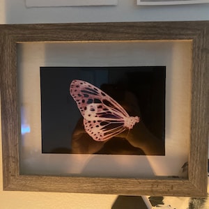 Francesco ha añadido una foto de su compra