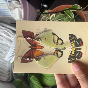 Emily added a photo of their purchase