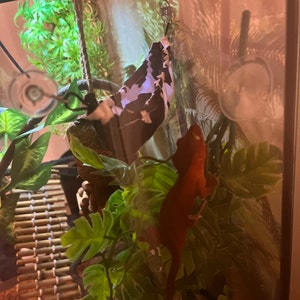 Sara added a photo of their purchase
