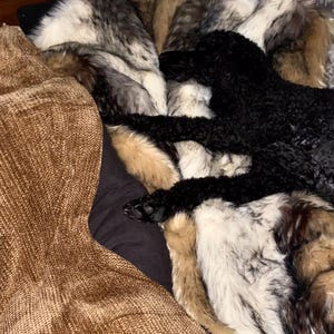 Lila hat ein Foto des gekauften Artikels hinzugefügt