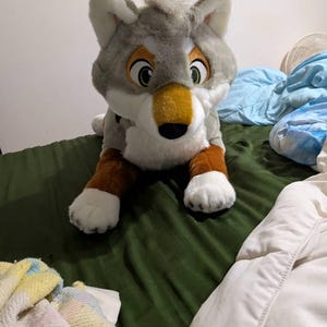 Tori a ajouté une photo de son achat