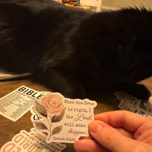 KAREN added a photo of their purchase