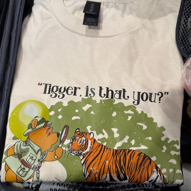 Tigger is That You Disney Animal Kingdom T-shirt, Vintage Disney