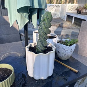 Ann dodał(a) zdjęcie swoich zakupów