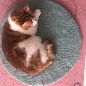 Niko added a photo of their purchase