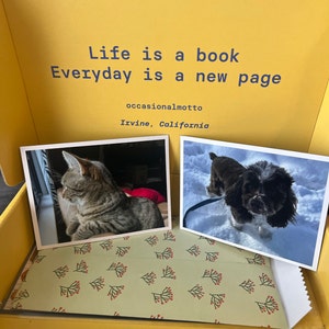 Finn a ajouté une photo de son achat