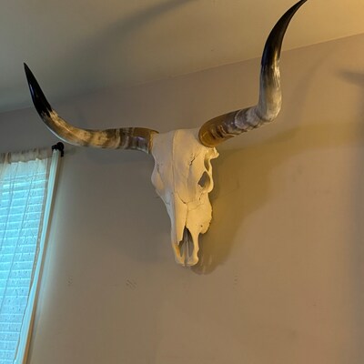 White Longhorn Steer Skull Western Boho Home Decor - Etsy