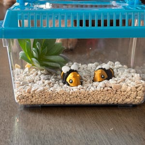 Dora added a photo of their purchase